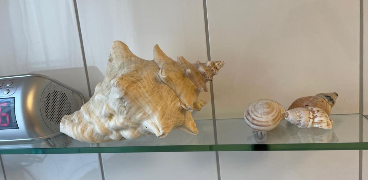 Appartamento Casa Ingrid Würzburg Esterno foto